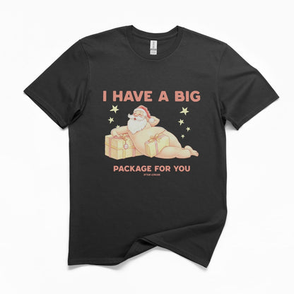 Big Christmas Package T-Shirt